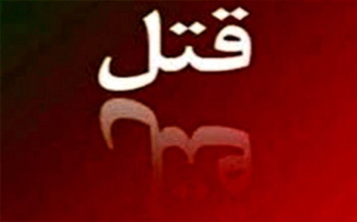 قتل دوست‌باردار به خاطر ربودن نوزاد !
