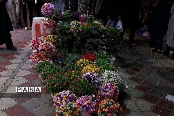 بوی عید و جنب و جوش روزهای پایانی سال