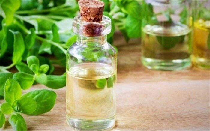 مرزنجوش با خواصی که همه به آن نیاز داریم