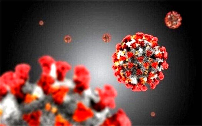 ۶۱ بیمار جدید مبتلا به کرونا طی ۲۴ ساعت گذشته در بیمارستانهای گیلان بستری شدند