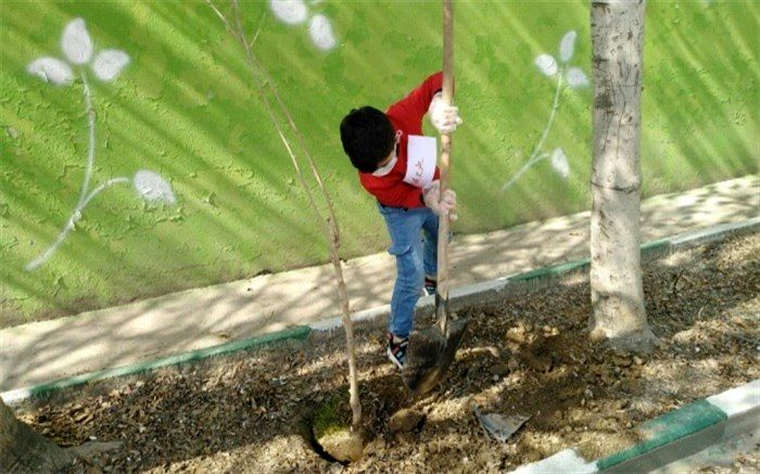 کاشت نهال توسط دانش‌آموزان موفق طرح ملی کوچ