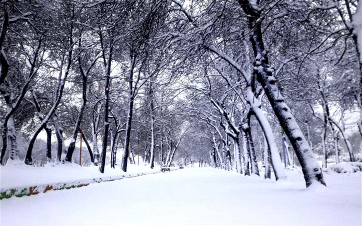 سرمای ۱۹ درجه زیر صفر در استان اردبیل