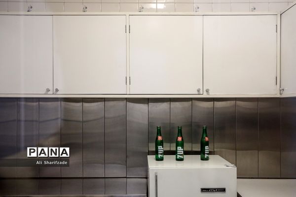 کاخ موزه نیاوران