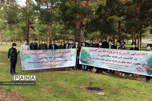 کاشت درخت سلامتی