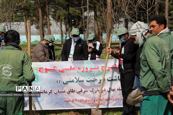 کاشت درخت سلامتی