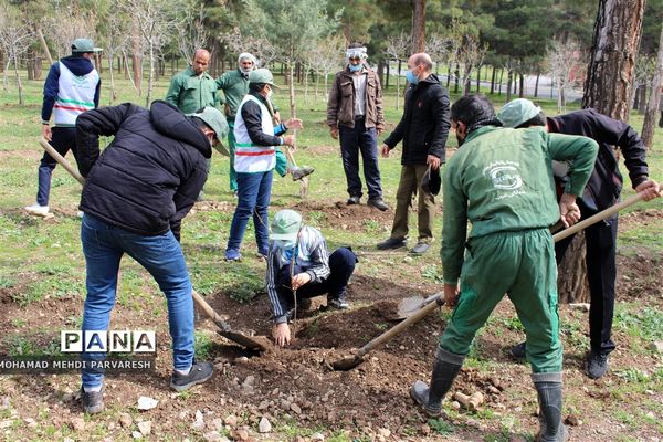 کاشت درخت سلامتی