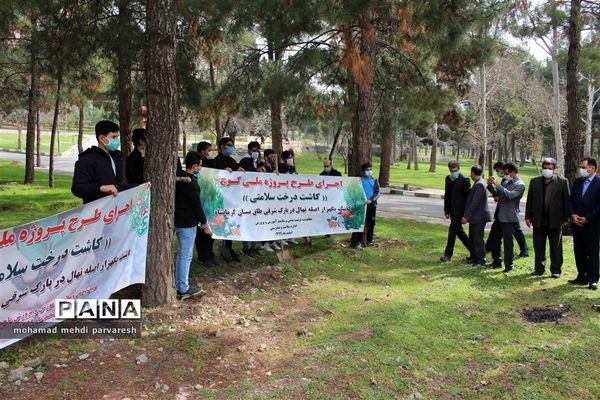 کاشت درخت سلامتی