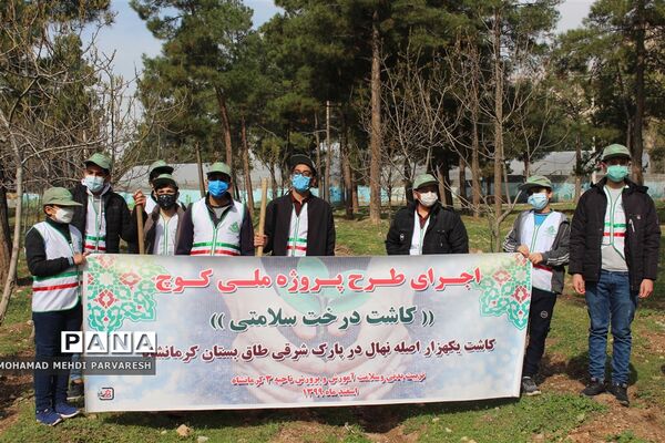 کاشت درخت سلامتی