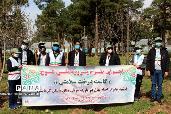 کاشت درخت سلامتی