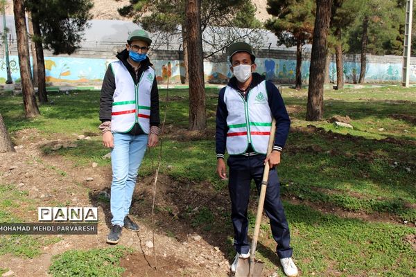 کاشت درخت سلامتی