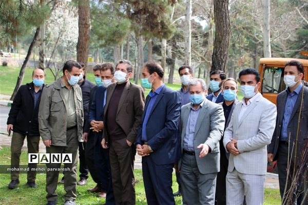 کاشت درخت سلامتی