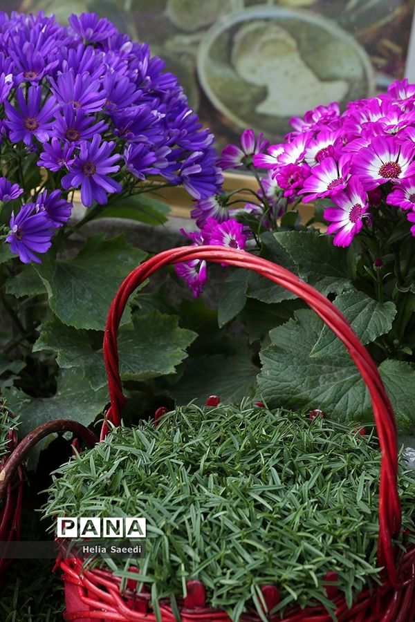 بازار شب عید