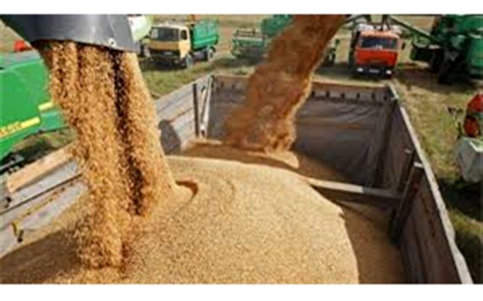 واردات نهاده های دامی از نظر وزنی ۱۱ درصد کاهش یافت