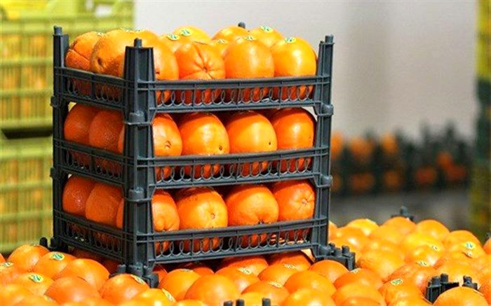 ۲۰۰ تن میوه شب عید در ورامین توزیع خواهد شد