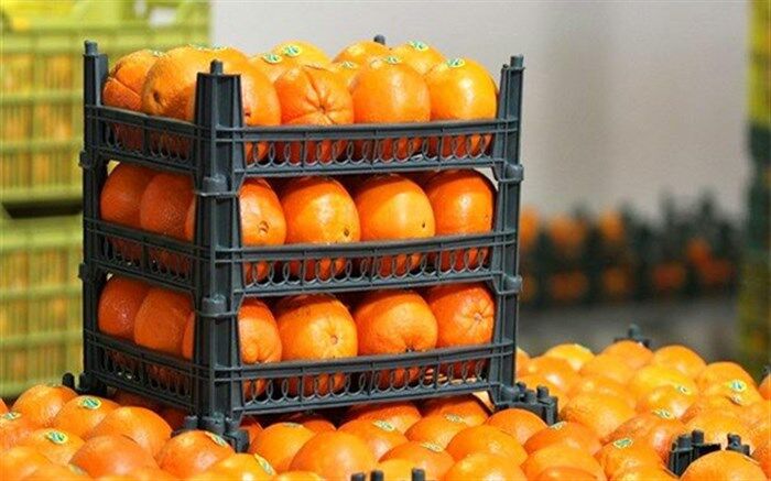 ۲۰۰ تن میوه شب عید در ورامین توزیع خواهد شد
