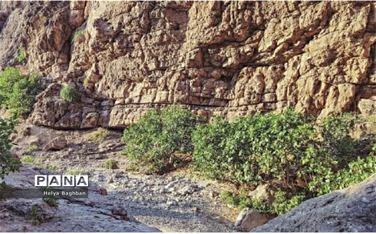 دره آل؛  مکانی جذاب برای علاقه مندان  به طبیعت