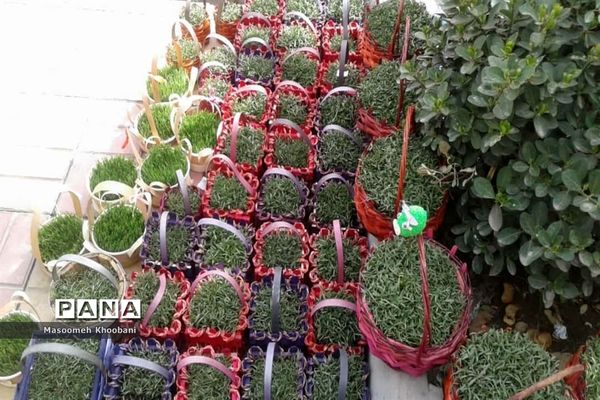 سال جدید و جوانه زدن شادی در دل مردم