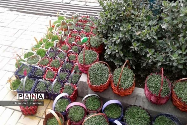 سال جدید و جوانه زدن شادی در دل مردم