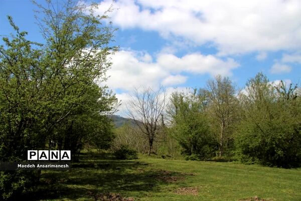 طبیعت بکر روستای کچا