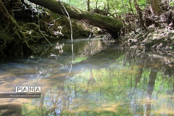 طبیعت بکر روستای کچا