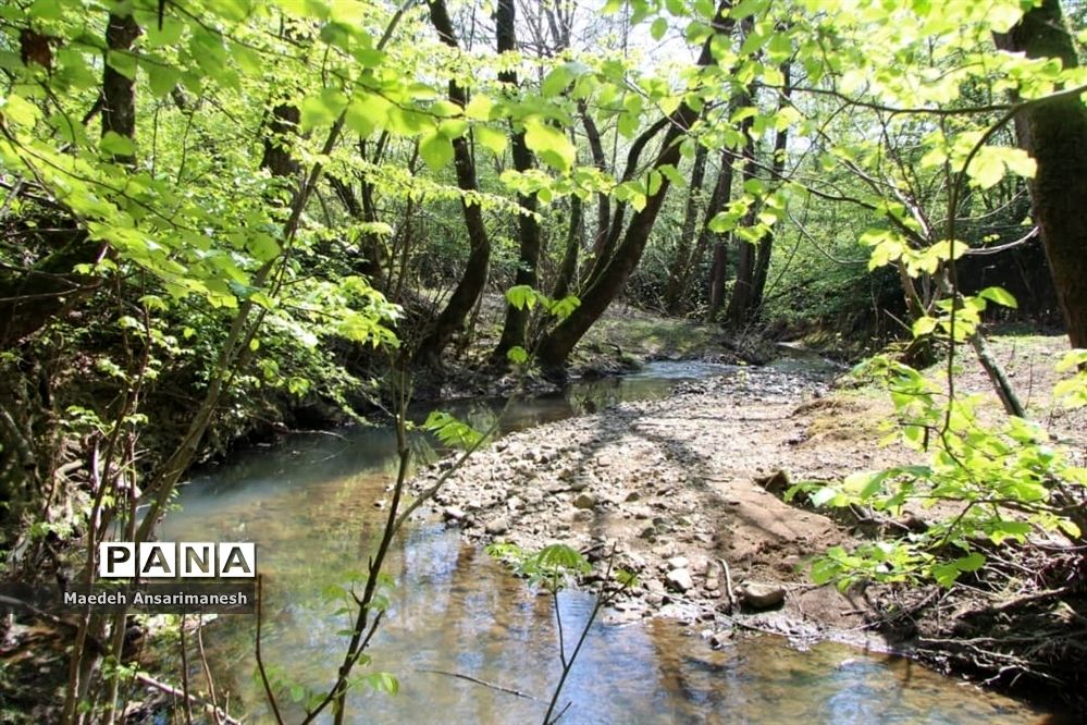 طبیعت بکر روستای کچا