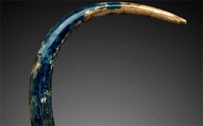 حراج عاج ماموت و فسیل حیوانات منقرض شده