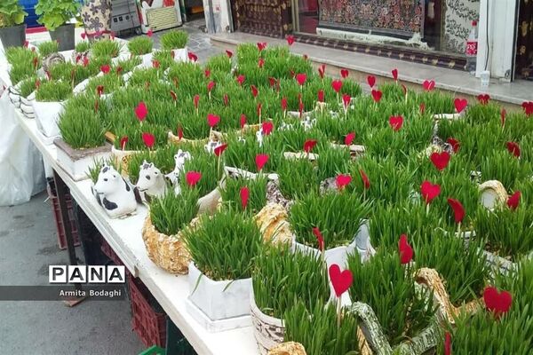 استقبال از بهار 1400در شهرستان اسلامشهر
