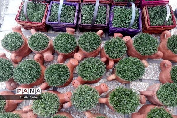 استقبال از بهار 1400در شهرستان اسلامشهر