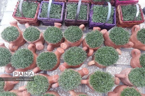 استقبال از بهار 1400در شهرستان اسلامشهر