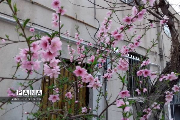 جلوه‌های طبیعت و پیدایش بهار در خاورشهر