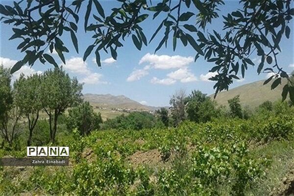 سفری به روستای عین آباد