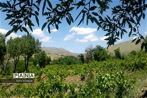 سفری به روستای عین آباد