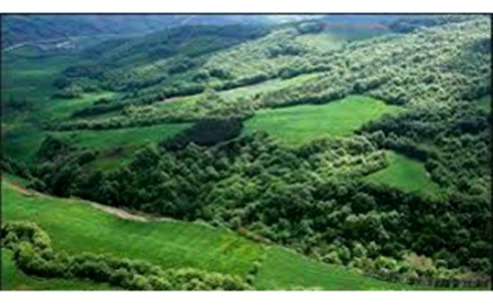 از ۲۰۴ هکتار اراضی دولتی در اسفند ۹۹ رفع تعرض شد