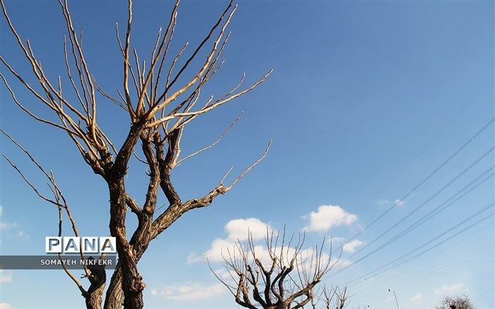 هوای تهران پاک است