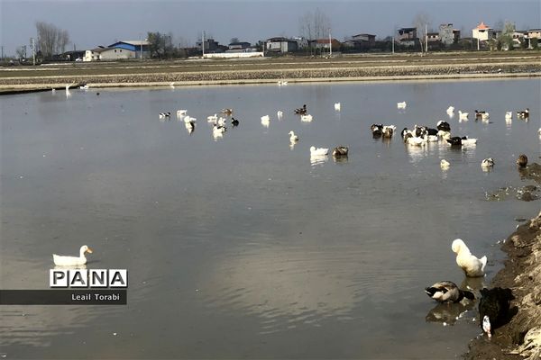 جاذبه‌های گردشگری سرخ‌رود در استان مازندران