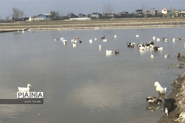 جاذبه‌های گردشگری سرخ‌رود در استان مازندران