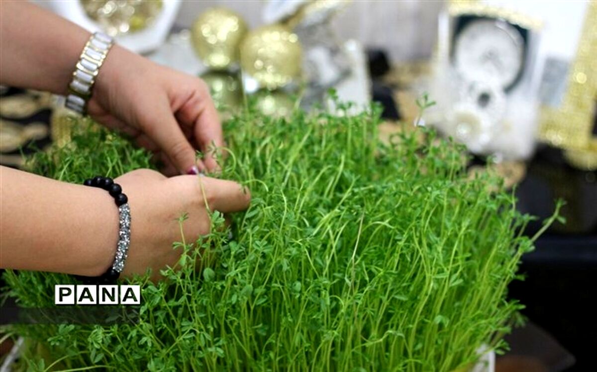 ممنوعیت های تردد در روز «سیزده بدر» اعلام شد