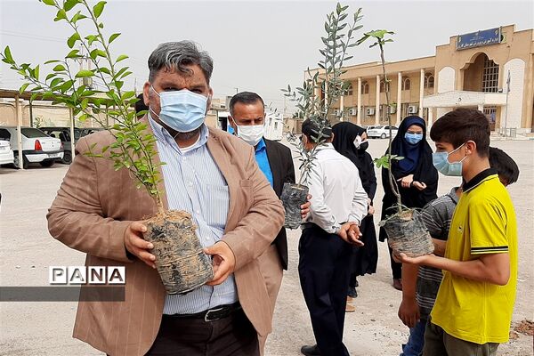 کاشت درخت به مناسبت آغاز بهار در شهرستان کارون