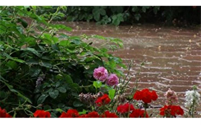 آسمان گیلان از عصر سیزدهم بهار، بارانی و سرد می شود