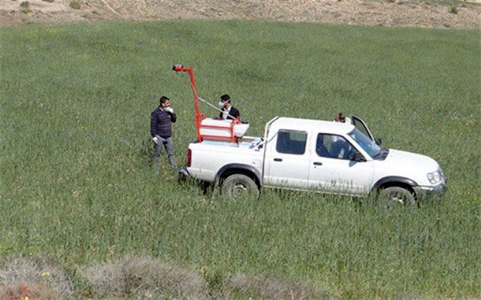 دیده‌بانی چهار میلیون هکتار از اراضی سیستان و بلوچستان برای مقابله با ملخ صحرایی