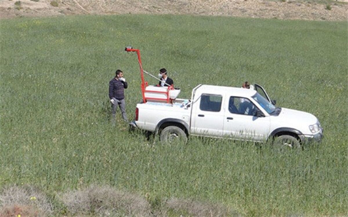 دیده‌بانی چهار میلیون هکتار از اراضی سیستان و بلوچستان برای مقابله با ملخ صحرایی