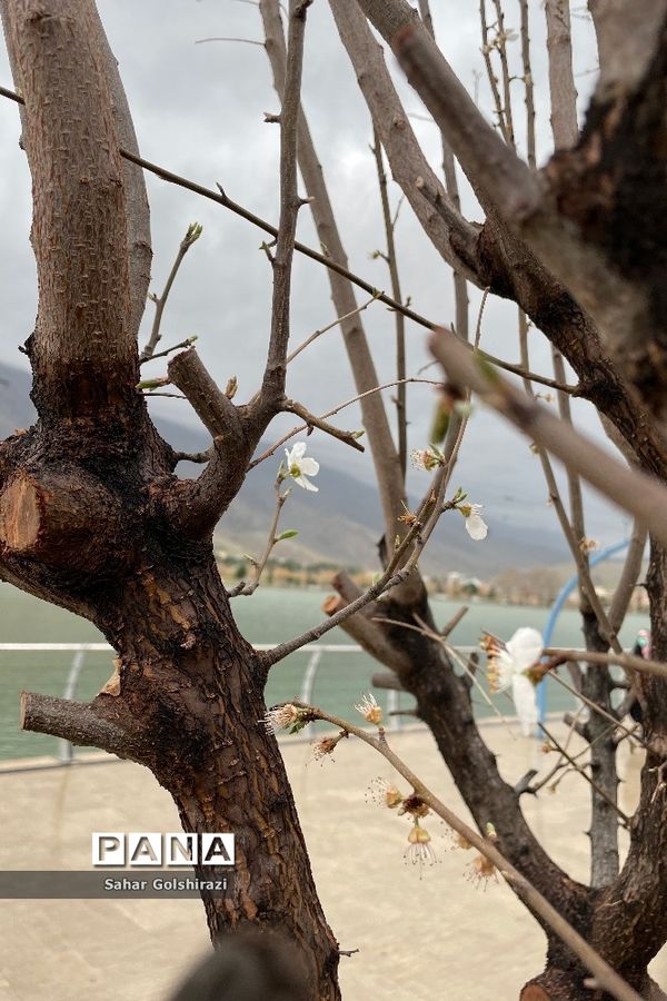 لرستان زیبا در نخستین روزهای بهار