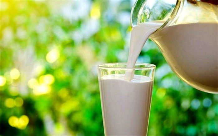 فواید نوشیدن شیر+اینفوگرافی