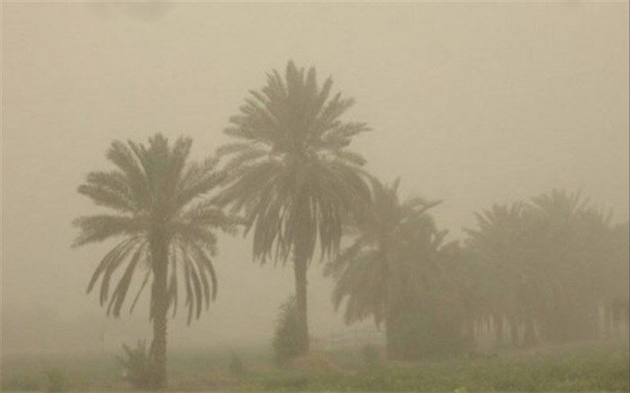 باد با سرعت ۸۳ کیلومتر بر ساعت زابل را درنوردید