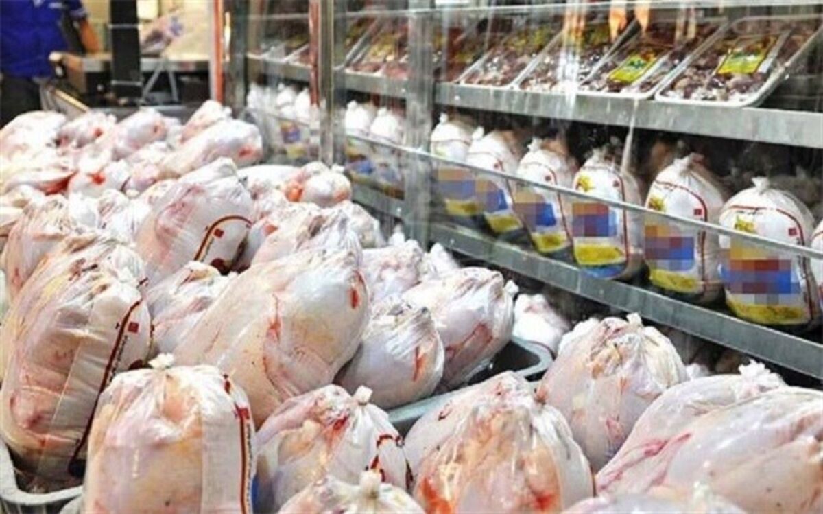تامین ۱۵۰۰ تن مرغ برای توزیع در شهر تهران