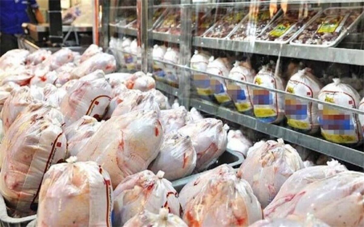 تامین ۱۵۰۰ تن مرغ برای توزیع در شهر تهران