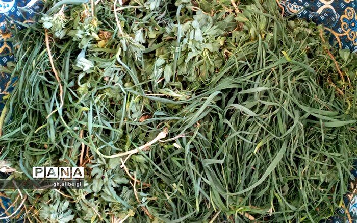 سفره پر برکت زمین در دستان  بهار