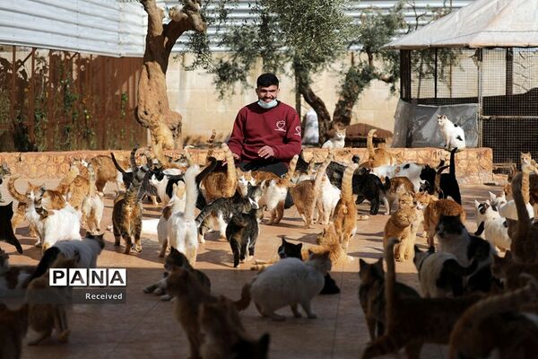 آغاز بهار در سراسر جهان