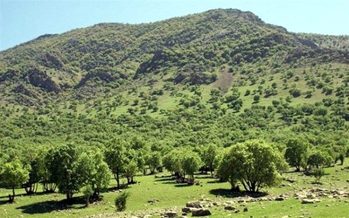 پرواز هواپیماهای فوق سبک بر فراز جنگل‌های هیرکانی