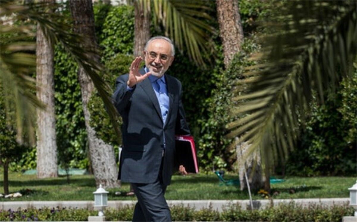۱۳۳ دستاورد سازمان انرژی هسته‌ای رونمایی می‌شود